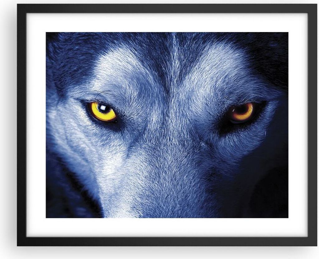 Gerahmtes Poster - Schwarzer Rahmen - Schau der Wolf Augen - 50x40 cm - Wand Bild - Wanddeko - Wandbilder - Kunstposter - Wandposter - Bilderrahmen...