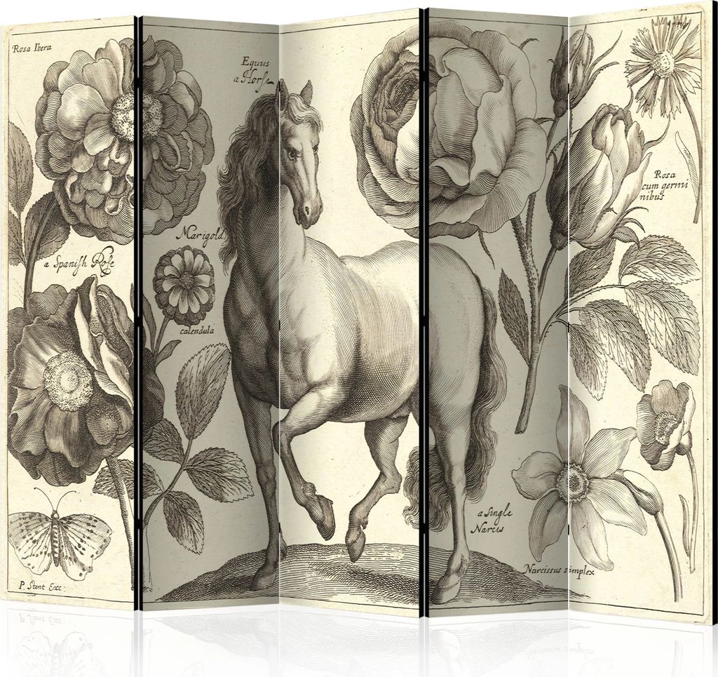 5-teiliger Einseitiger Vlies Paravent - Horse II 225x172 cm Tiere g-C-0036-z-c