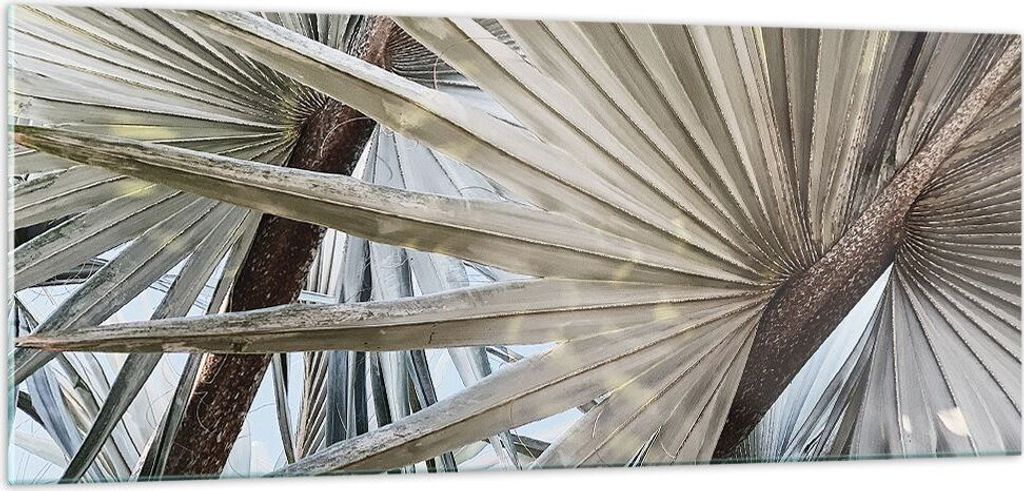 Bilder auf glas - Einteilig - Blatt Palme Natur - 100x40cm - Glasbilder - Wandbilder - Bilder - zum Aufhängen bereit - Wanddekoration aus Glas - G...