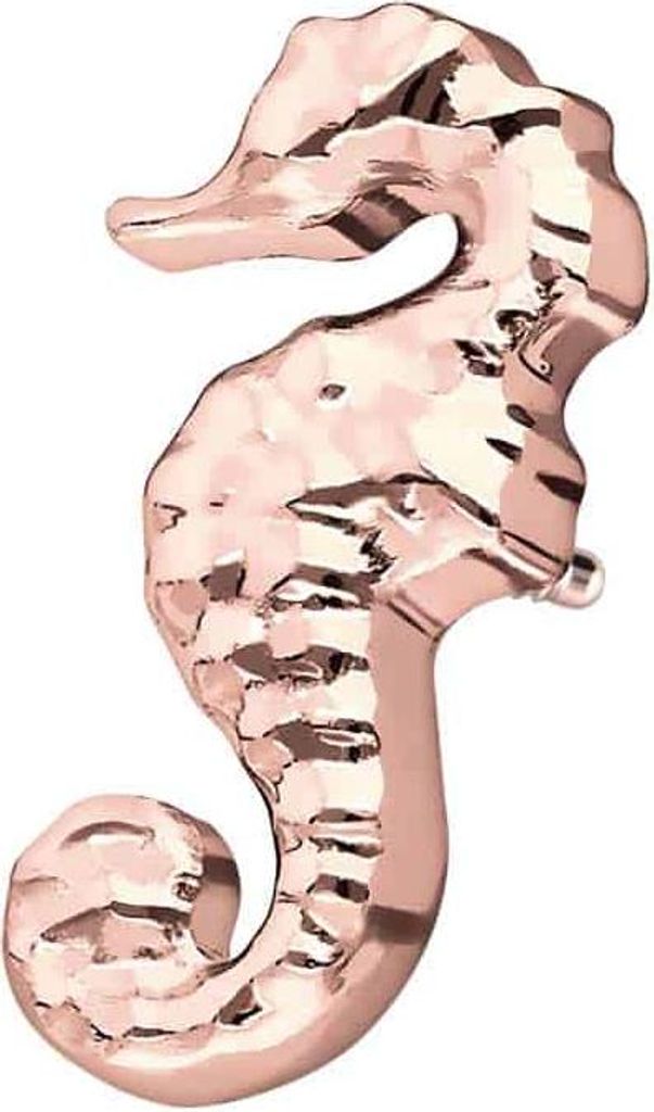 Titan Schraubaufsatz mit Außengewinde SEEPFERDCHEN