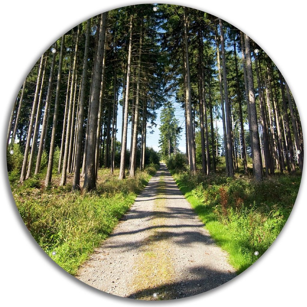 Wallario rundes Outdoor-Poster für Garten oder Balkon, Motiv Stiller Waldweg, 60 cm Durchmesser