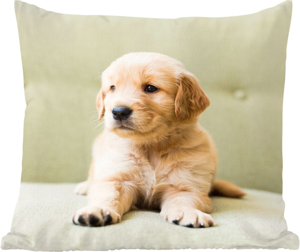 MuchoWow Zierkissen Sofakissen Wohnzimmer Dekokissen 40x40 cm Golden Retriever Welpe auf dem Sofa liegend - Foto Kissen - Schlafzimmer Dekoration