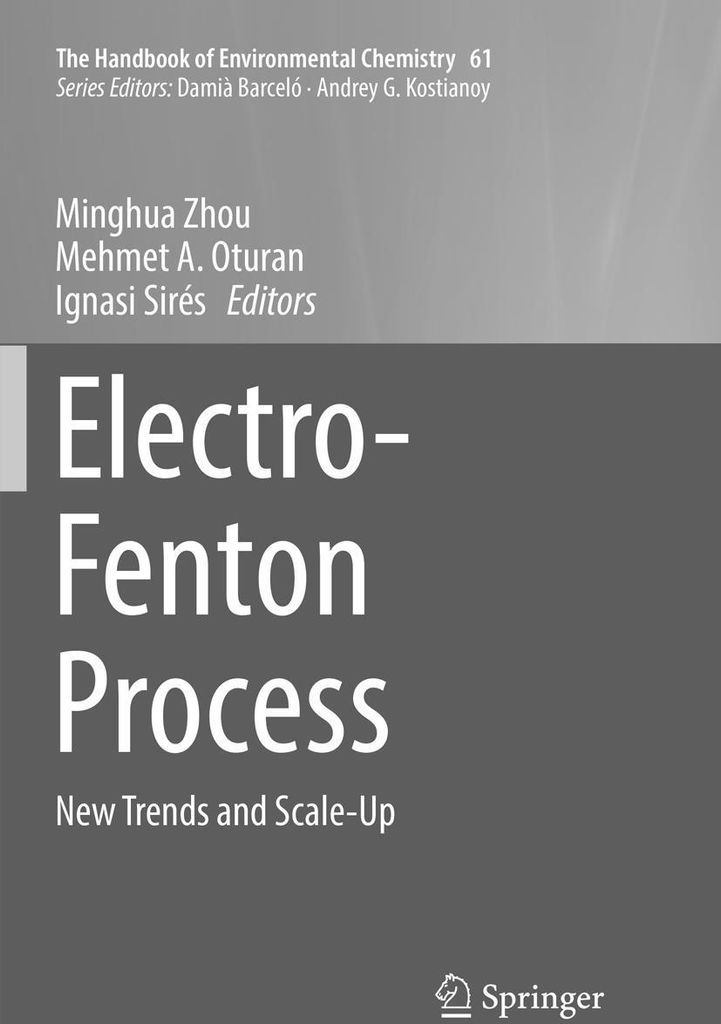 Electro-Fenton Process
