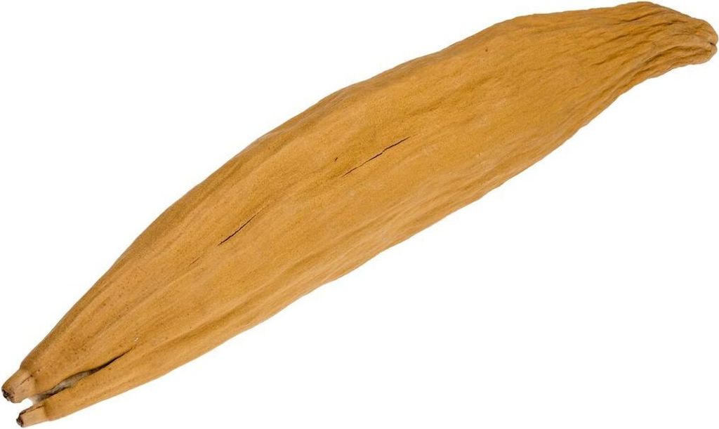 Kapok Schote Länge ca.15-30cm | Ceiba pentandra