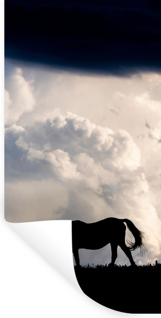 MuchoWow Wandtattoo Wandsticker Wandaufkleber Pferd - Wolken - Schatten 40x80 cm Selbstklebend und Repositionierbar - Repositionierbar - Wasser a...