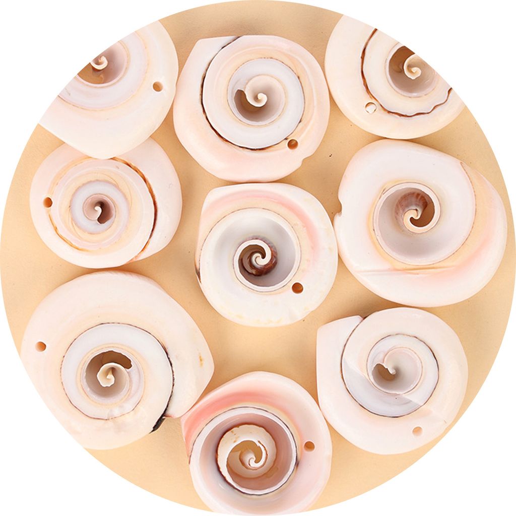 50g Conch Ornamente hohe Haltbarkeit kreativer Form auf auffällige Aquarium Landschaft Muscheln DIY Crafts Decor Geburtstag Geschenk-17