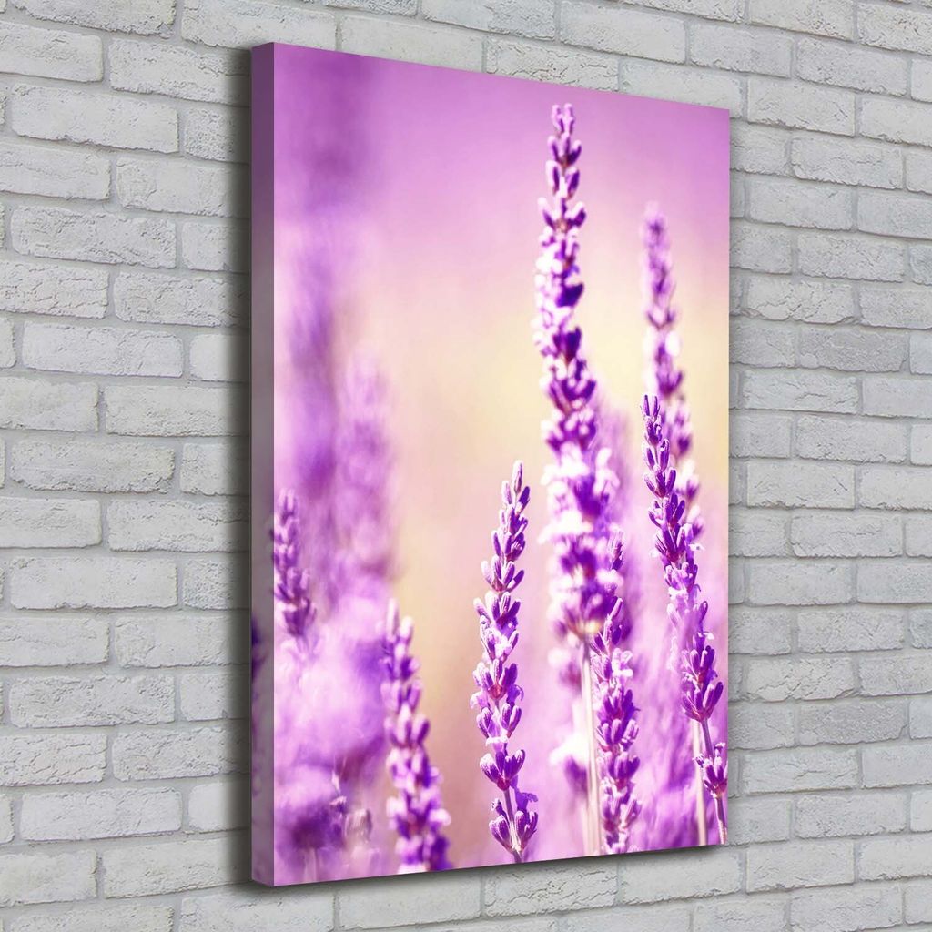 Tulup Leinwandbild - 70x100cm - Wandkunst - Drucke auf Leinwand - Leinwanddruck - Wohnzimmer Wanddekoration XXL - Wohnung Deko Kunstdrucke - Vint...