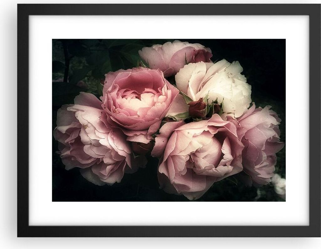Gerahmtes Poster - Schwarzer Rahmen - Pfingstrose Blume - 40x30 cm - Wand Bild - Wanddeko - Wandbilder - Kunstposter - Wandposter - Bilderrahmen - ...