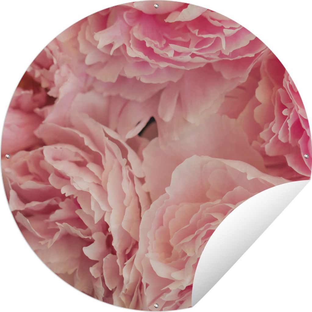 MuchoWow Gartenposter Outdoor-Poster Rund Draufsicht auf einen Strauß rosa Pfingstrosen Ø 60 cm Gartendeko Rundes Poster draußen