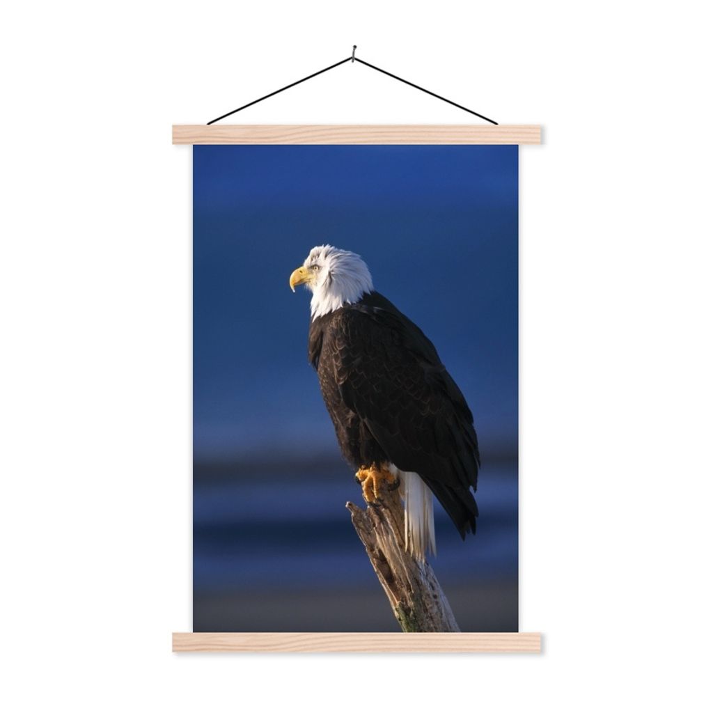 MuchoWow Textilposter Adler - Nahaufnahme - Zweig 120x180 cm mit holzfarbenen Rahmen - Textil-Plakat