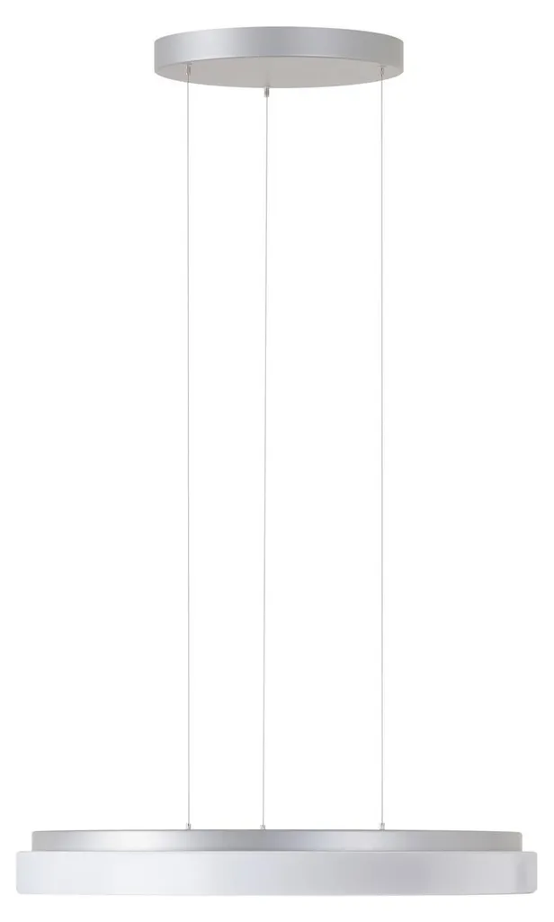 Suspension LED 32W pour Éclairage de Bureau Argent CORVUS LE2 IP40