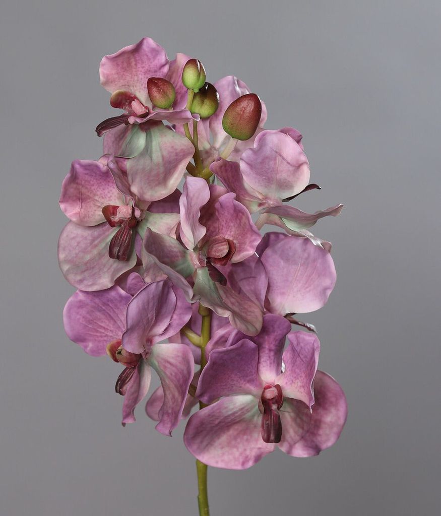 Kunstblume Orchidee-Vanda lila 74cm