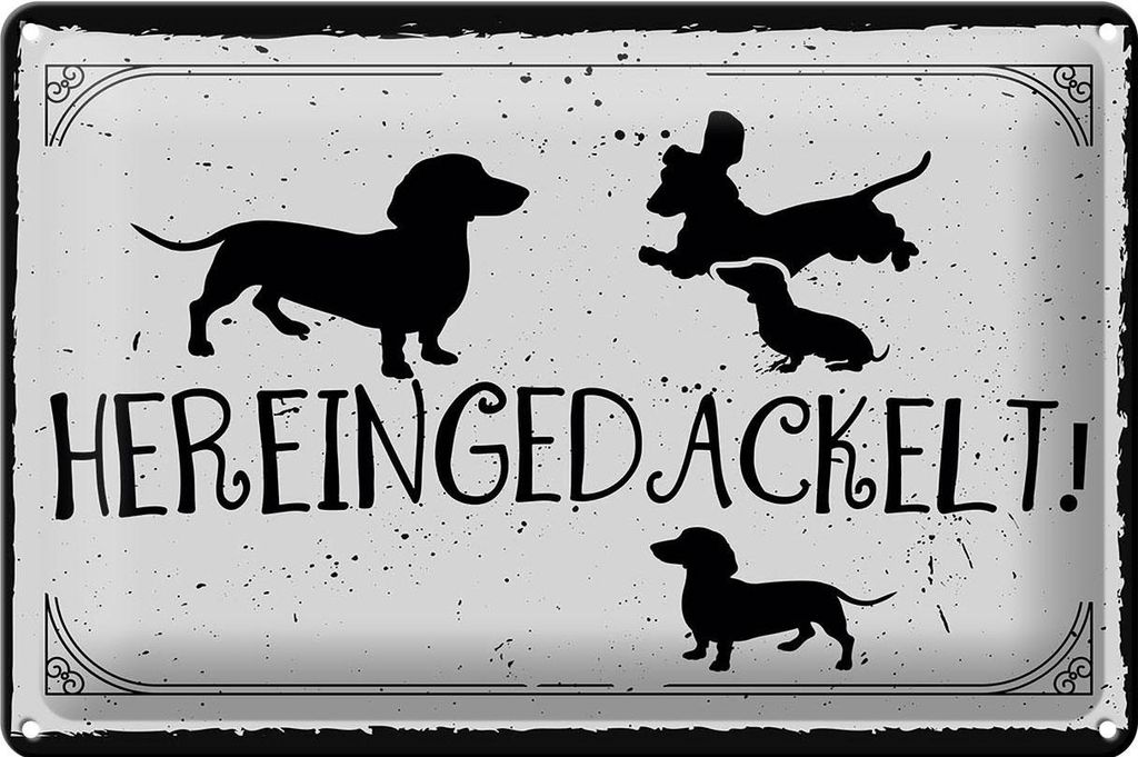Blechschild Spruch 30x20cm Hereingedackelt