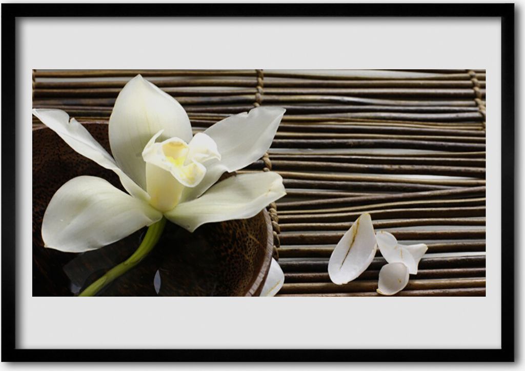 Bild 70x50 MDF-Rahmen Wandkunst Natur Blume Pflanze