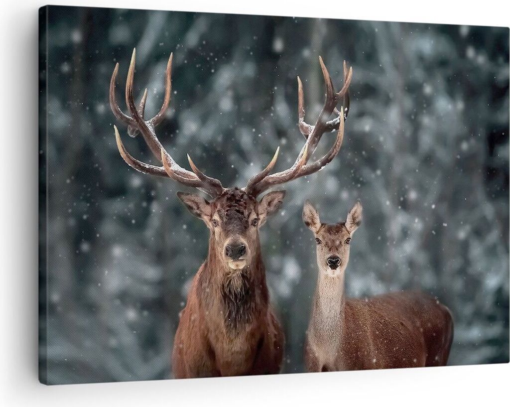 Bild auf Leinwand - Leinwandbild - Einteilig - Hirsch Rentier Reh - 70x50cm - Wand Bild - Wanddeko - Wandbilder - Leinwanddruck - Bilder - Wanddeko...