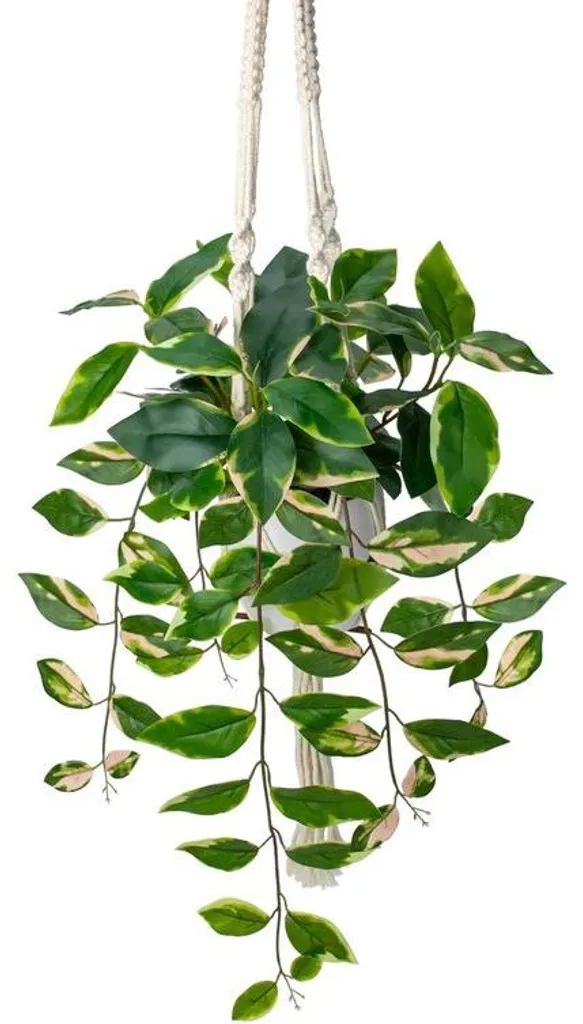 Plante décorative artificielle Klimop en pot pour salon et bureau
