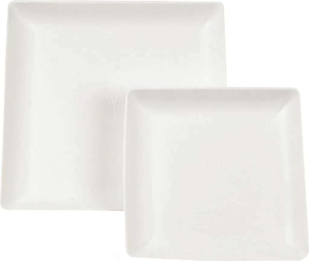 NATUREStar 410200Teller Eleganza quadratisch 220 x 220 mm Zuckerrohr weiß