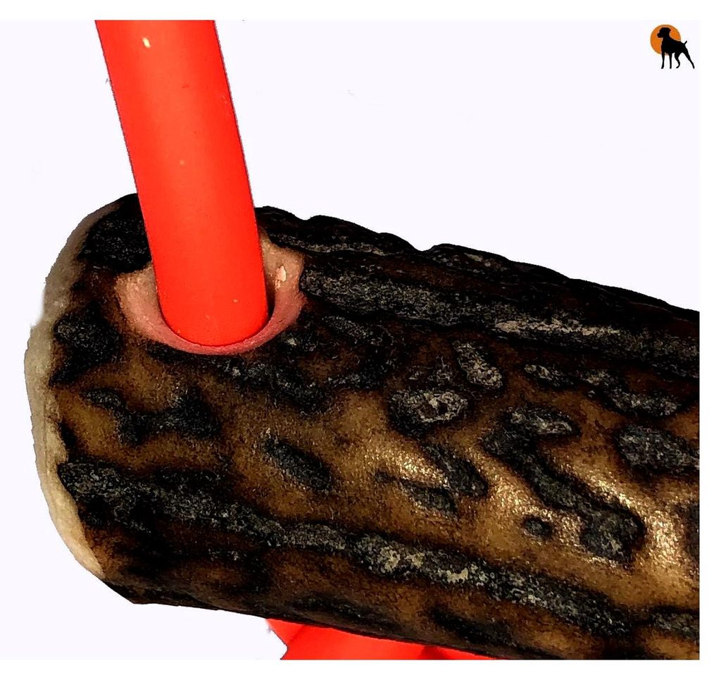 Biothane Flüsterleine Pirschleine Jagdleine Coated Rope, 6mm x 320cm Signalorange