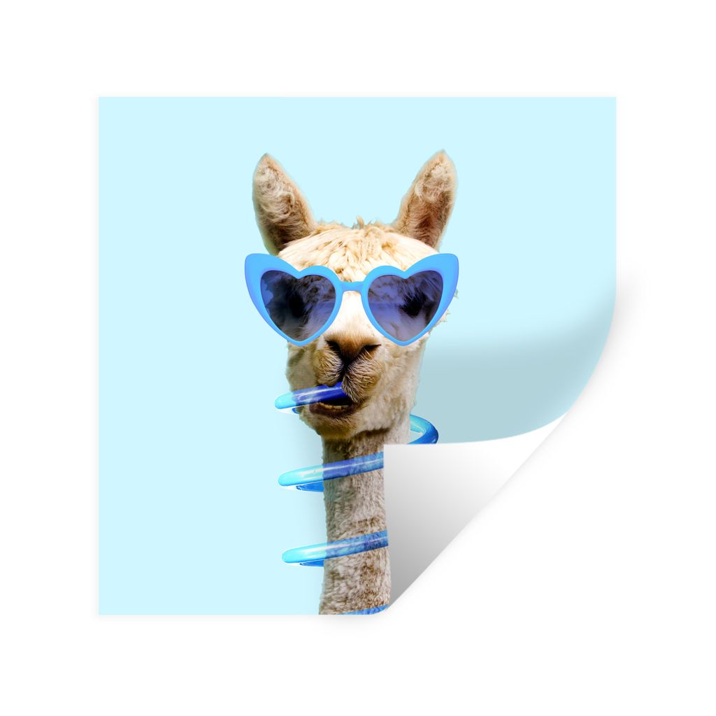 MuchoWow Wandtattoo Wandsticker Wandaufkleber Lama - Sonnenbrille - Blau - Tier 50x50 cm Selbstklebend und Repositionierbar - Selbstklebend - Fot...