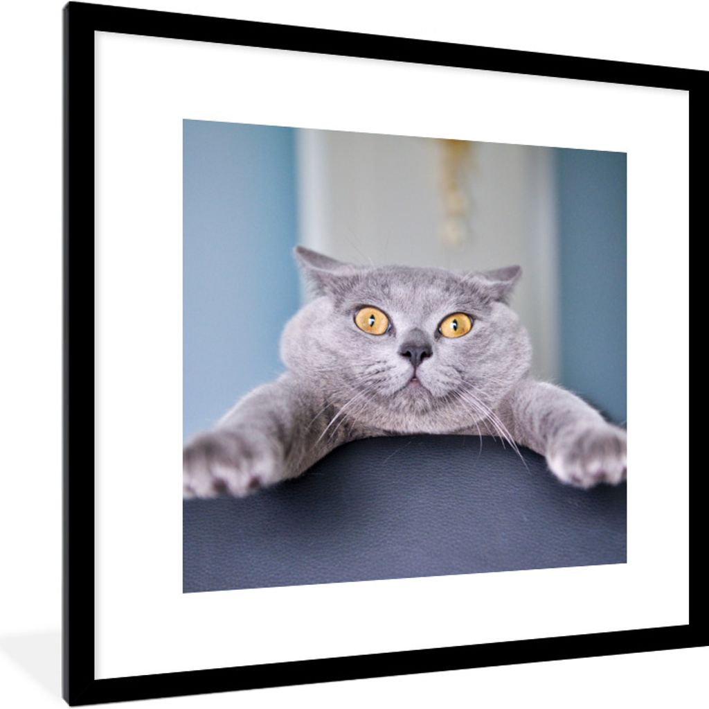 MuchoWow Gerahmtes Poster Katze - Angst - Stuhl 40x40 cm - Poster mit Schwarzem Bilderrahmen Wandposter Rahmen Foto Bilder - Poster - Plakat im R...