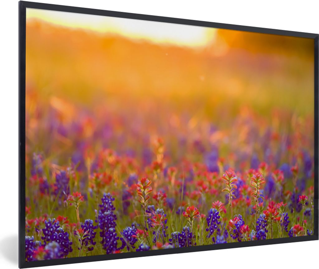 MuchoWow MuchoWow Gerahmtes Poster Blumen - Gold - Sonne 30x20 cm - Poster mit zchwarzem Bilderrahmen - Kunstdruck - Bild-Poster