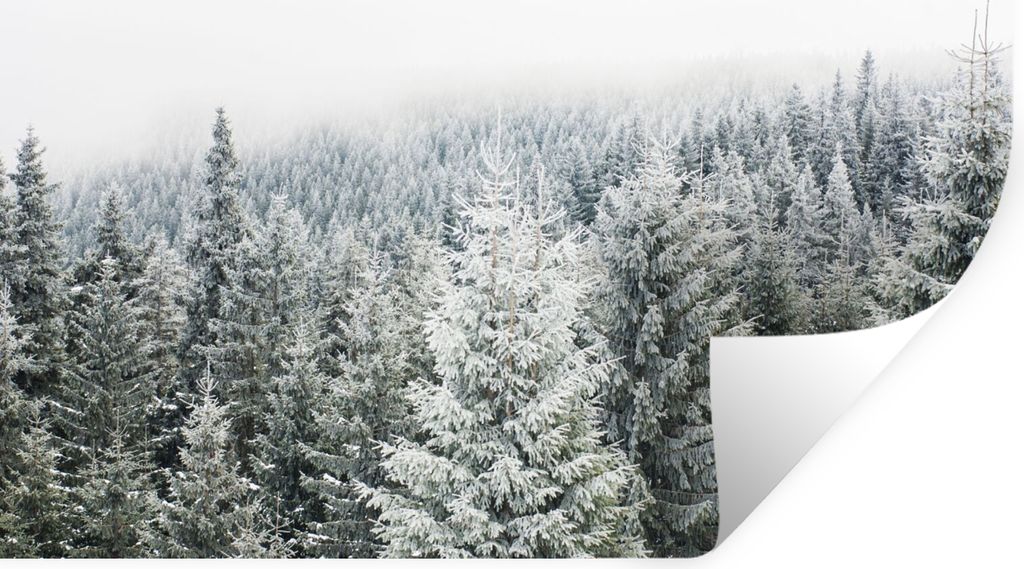 MuchoWow Wandtattoo Wandsticker Wandaufkleber Wald - Schnee - Winter - Jahreszeiten - Tannenbaum 60x40 cm Selbstklebend und Repositionierbar - Wi...