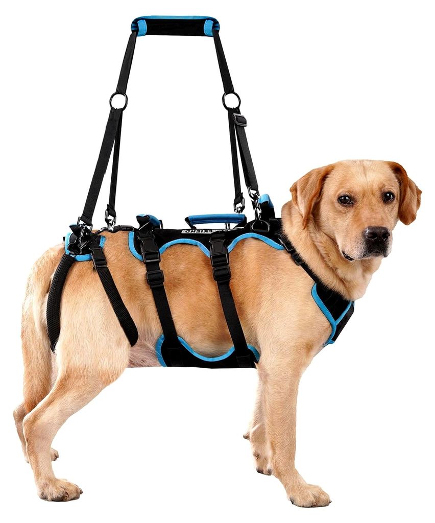 Hundelift-Geschirr für große Rüden - 2-in-1 abnehmbares Unterstützungsgeschirr für die Hinterbeine, Ganzkörpertragehilfe mit Griffen für Sen...