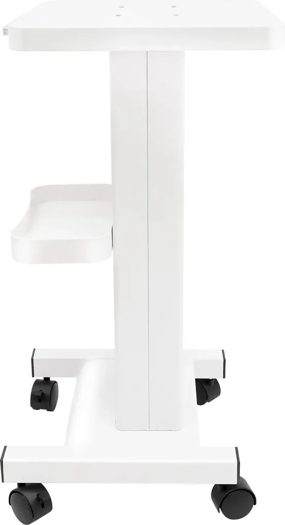 Chariot portable pour salon esthétique blanc métal avec bac de stockage
