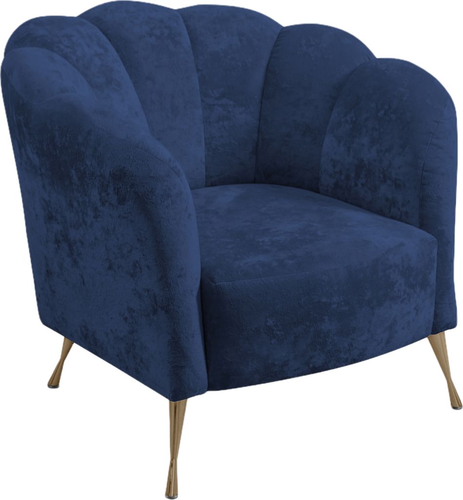 Ravio Cocktailsessel Adria, Stilvoll Muschelsessel, Muschelstuhl, Freizeitsessel für Wohnzimmer, Armlehnstuhl (Eureka 2127 + Goldene Beine)