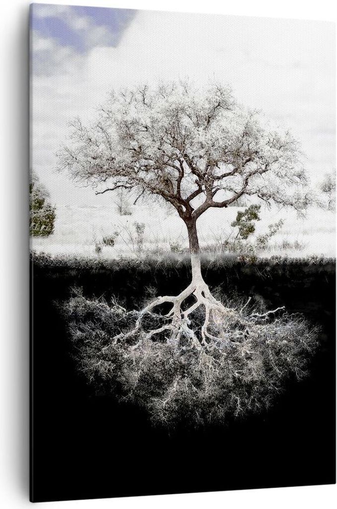 Bild auf Leinwand - Leinwandbild - Einteilig - Baum die Wurzeln Reflexion - 70x100cm - Wand Bild - Wanddeko - Wandbilder - Leinwanddruck - Wanddeko...