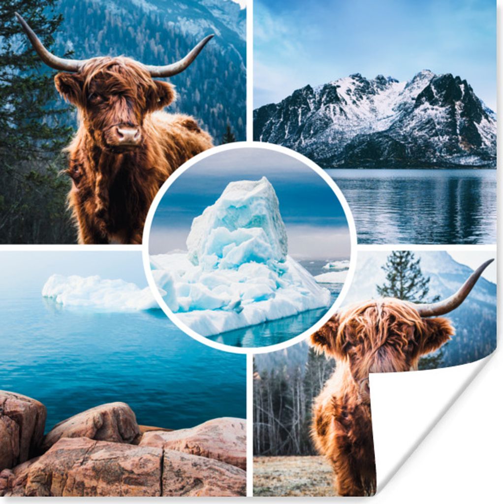 MuchoWow Poster Schottischer Highlander - Collage - Eis - Berg 50x50 cm - Wohnzimmerdekoration
