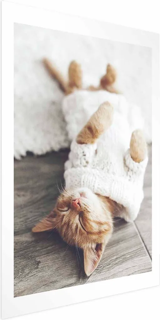 Poster Gatto Pigro 60x90 - Il Must-Have per Amanti dei Gatti