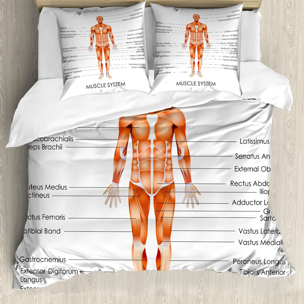 Offerta Copripiumino ABAKUHAUS 200x200 Antiacaro Sistema Muscolare