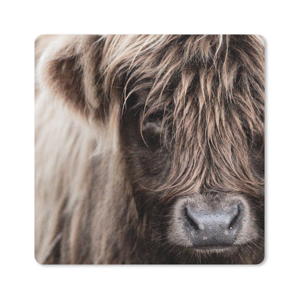 MuchoWow Mauspad Mousepad Schottischer Highlander - Schottische Kuh 20x20 cm - Mousepads - Maus Mat - Pad - Mausunterlage - Desk Mat - Bureauarti...