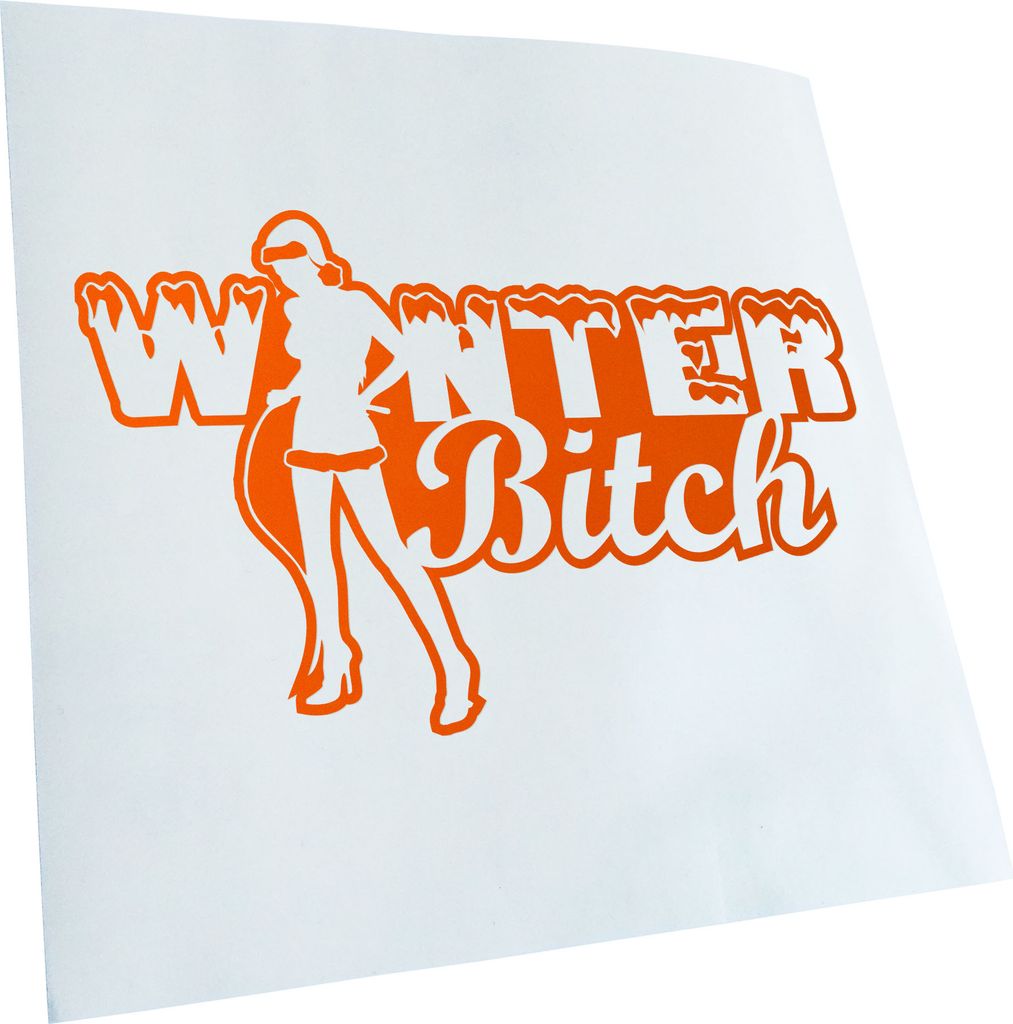 Kiwistar - Autoaufkleber - -Winter Bitch Design 1 Heckscheibenaufkleber - Aufkleber für Auto Kfz Fahrrad, LKW, Truck Mofa