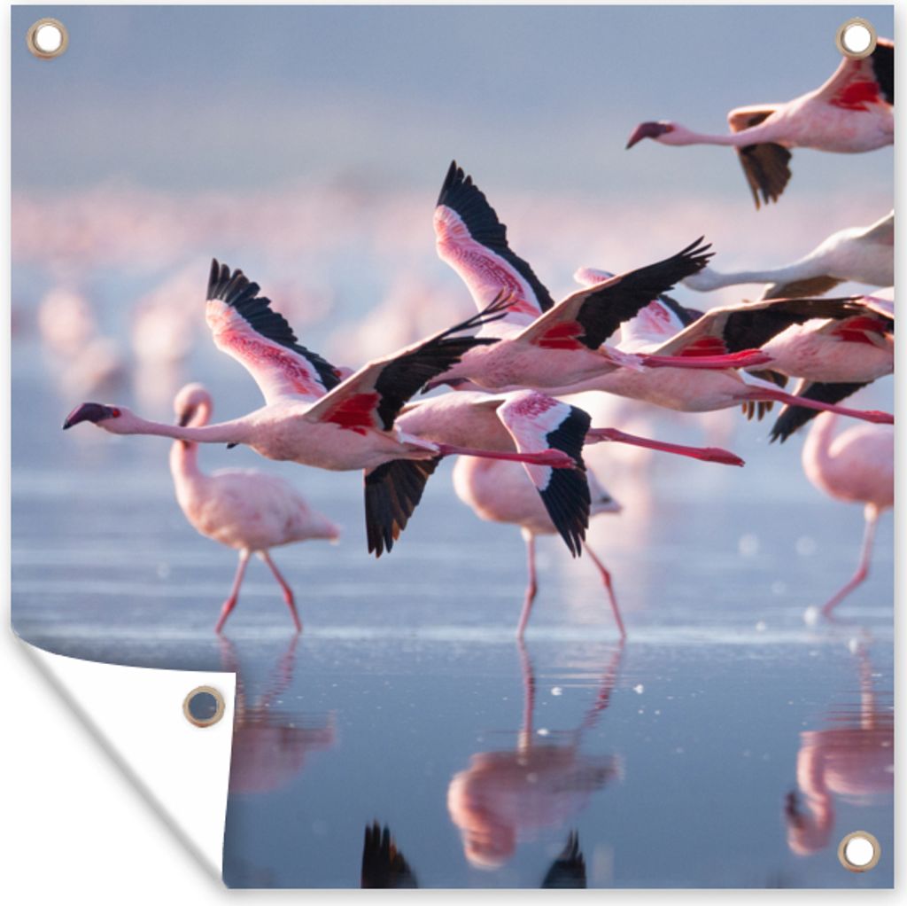MuchoWow 100x100 cm Outdoor-Poster Gartendeko Sichtschutz Garten Poster für den Garten Flamingo - Vogel - Wasser - Rosa