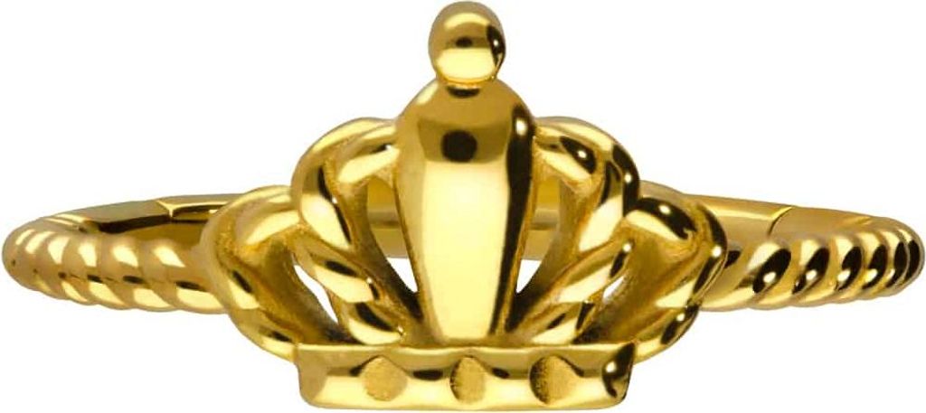 Ohrpiercing, Nasenpiercing, Septum Piercing Chirurgenstahl Segmentring Clicker KRONE + GEDREHT Gold Innendurchmesser: 12 mm