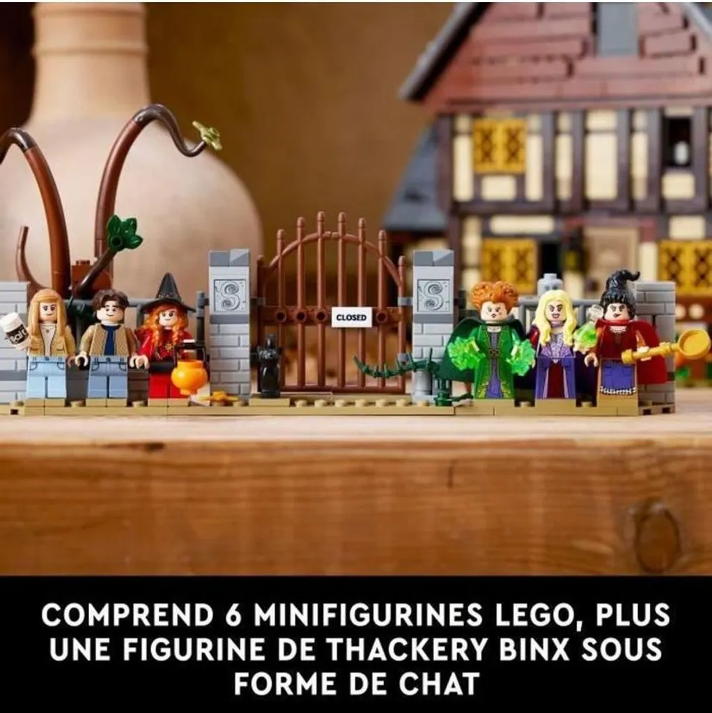 Jeu de construction La cabane Disney Hocus Pocus LEGO Ideas 21341