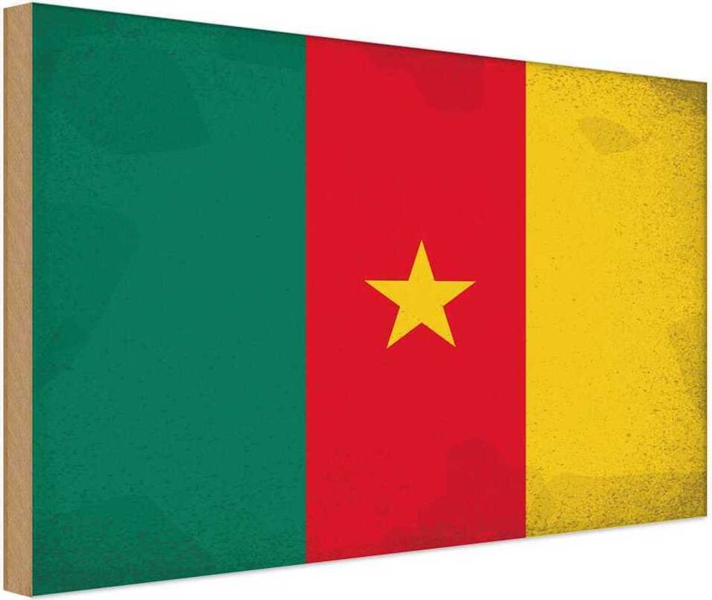 vianmo Holzschild 20x30 cm Kamerun Cameroon Vintage Flagge Fahne Wappen