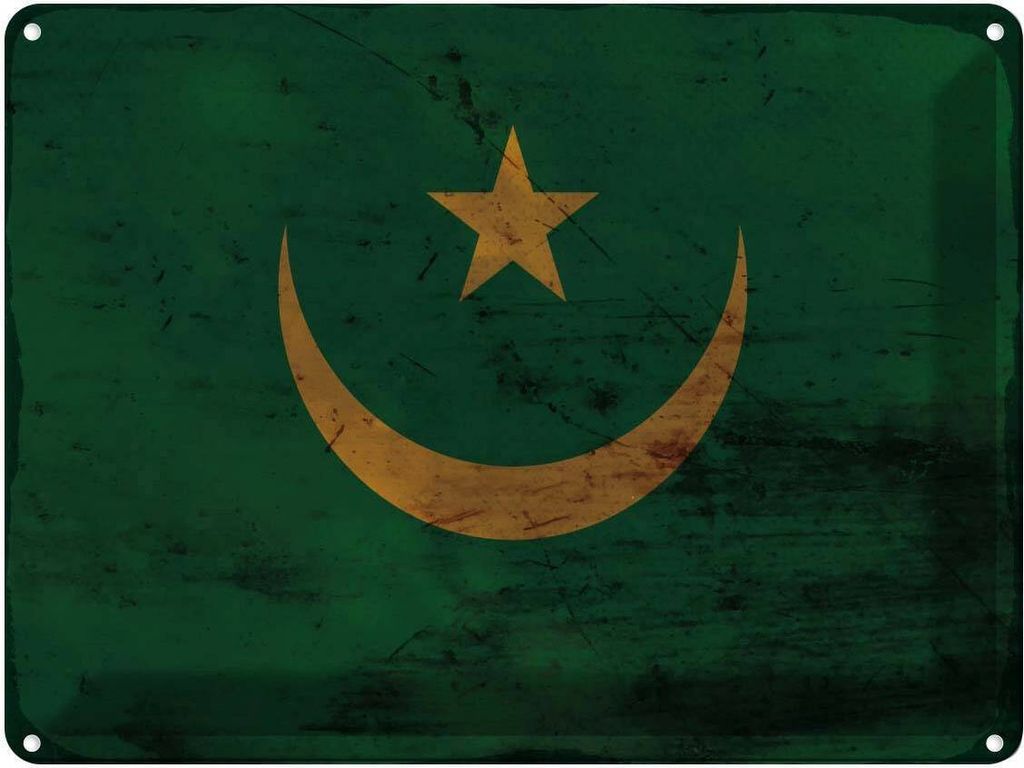 vianmo Blechschild 30x40 cm Mauretanien Mauritania Flagge Produktbild 
