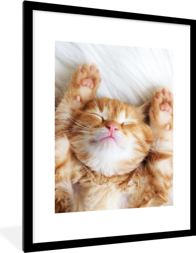 MuchoWow Gerahmtes Poster Katze - Rot - Haustiere - Kätzchen 60x80 cm - Poster mit Schwarzem Bilderrahmen Wandposter Rahmen Foto Bilder - Wohnzi...