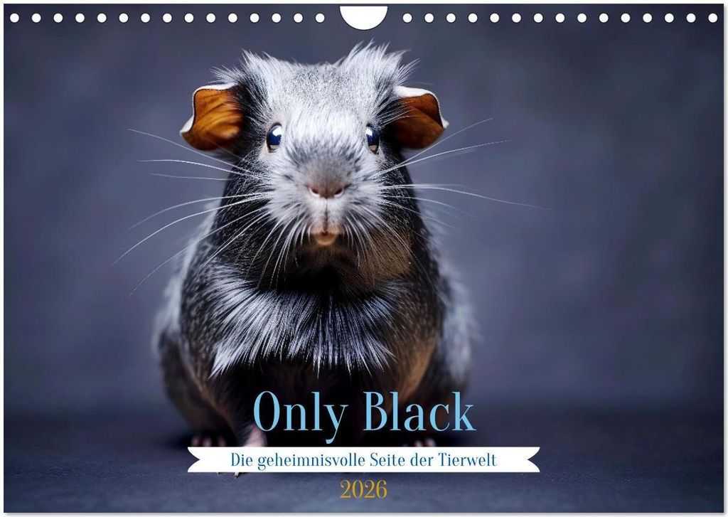 Only Black (Wandkalender 2026 DIN A4 quer), CALVENDO Monatskalender