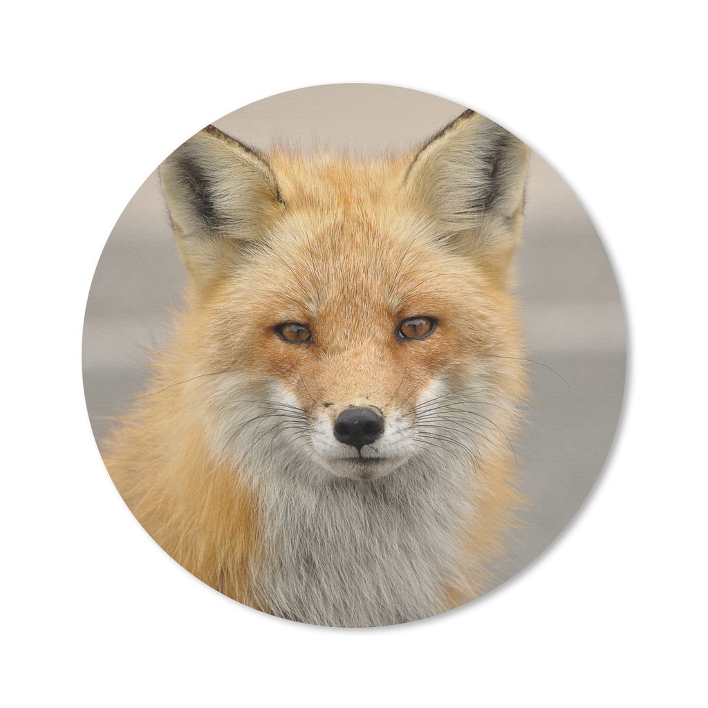 MuchoWow Mauspad Mousepad Fuchs - Makro - Rot 30x30 cm - Mousepads - Maus Mat - Pad - Mausunterlage - Tischunterlage - Schreibtischmatten