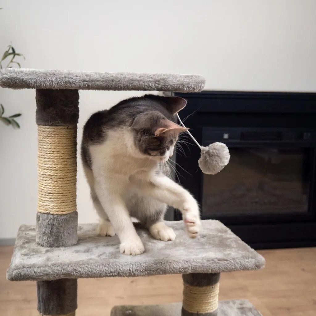 Arbre à chat robuste 80cm Trekker Basic en sisal naturel et peluche - 3