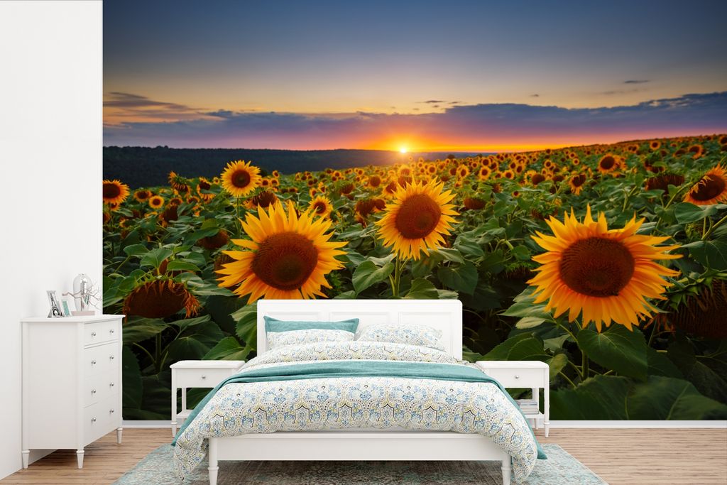 MuchoWow Fototapete für Wohnzimmer oder Schlafzimmer Wandtapete Vinyl Motivtapete Blumen - Nacht - Sonnenuntergang - Sonnenblume - Horizont - 42...