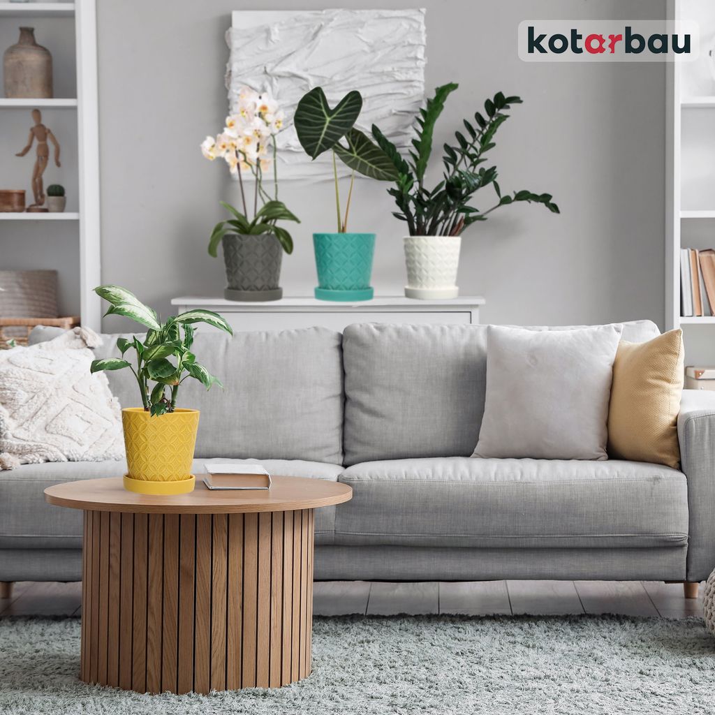 KOTARBAU Lot De 24 Pots De Fleurs En Terre Cuite, Diamètre : 6 Cm, Avec Bordure, Pour L