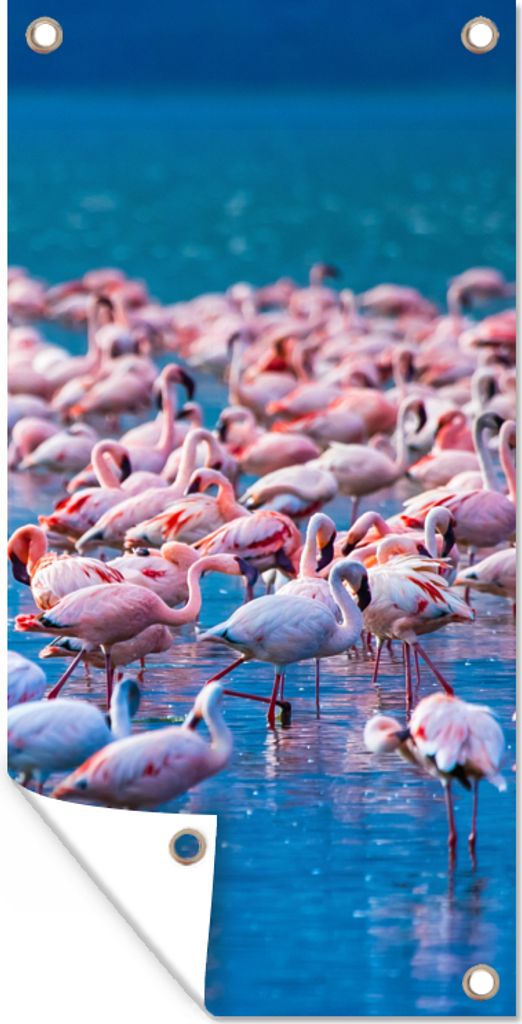 MuchoWow 40x80 cm Outdoor-Poster Gartendeko Sichtschutz Garten Poster für den Garten Flamingo - Wasser - Tropisch - Rosa