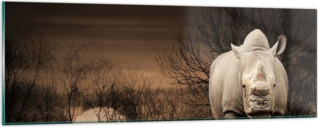 Bilder auf glas - Tier Nashörner Insekten - 90x30cm - Glasbilder - Wandbilder - Kunstdruck - zum Aufhängen bereit - Wanddekoration aus Glas - Gla...