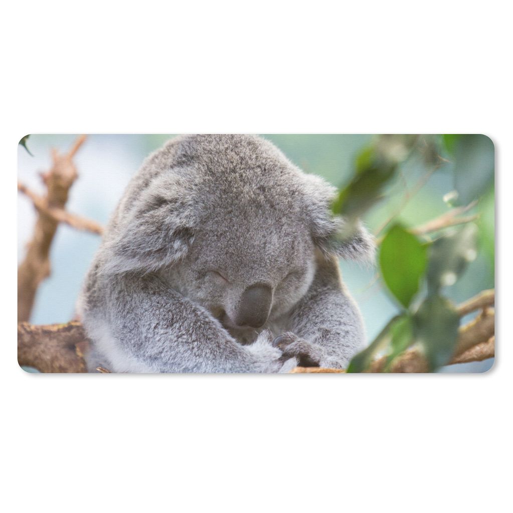 MuchoWow Schreibtischunterlage Koala - Zweige - Kinder - Jungen - Mädchen 80x40 cm - XXL Mauspad - Gaming Mauspad