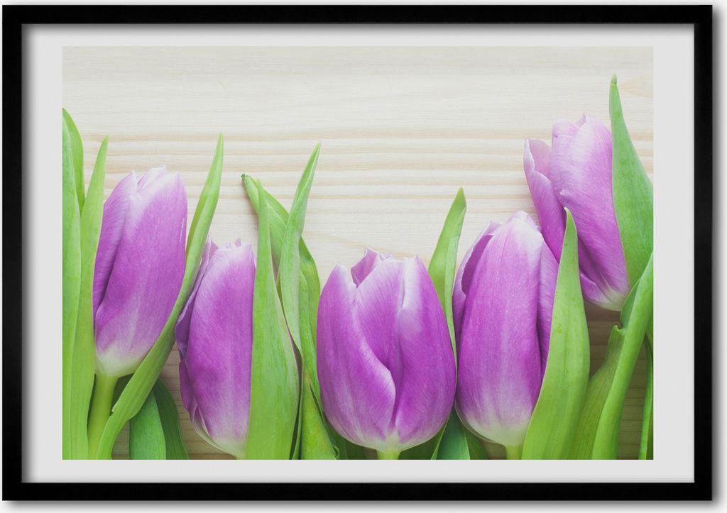 Bild - Bilderrahmen - 100 cm x 70 cm - MDF - Rahmen - Foto - Wandkunst lila Tulpen